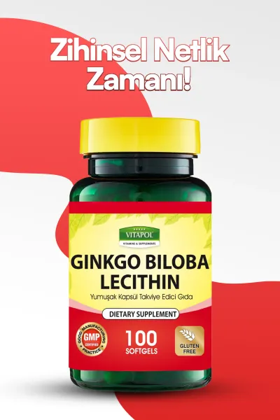 Ginkgo Biloba Lecithin 100 Kapsül